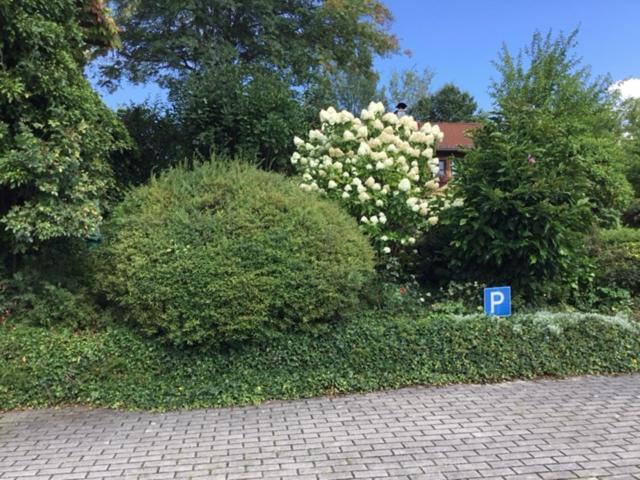 Bayerischer Wald - Balbersdorf Waffenbrunn Dış mekan fotoğraf